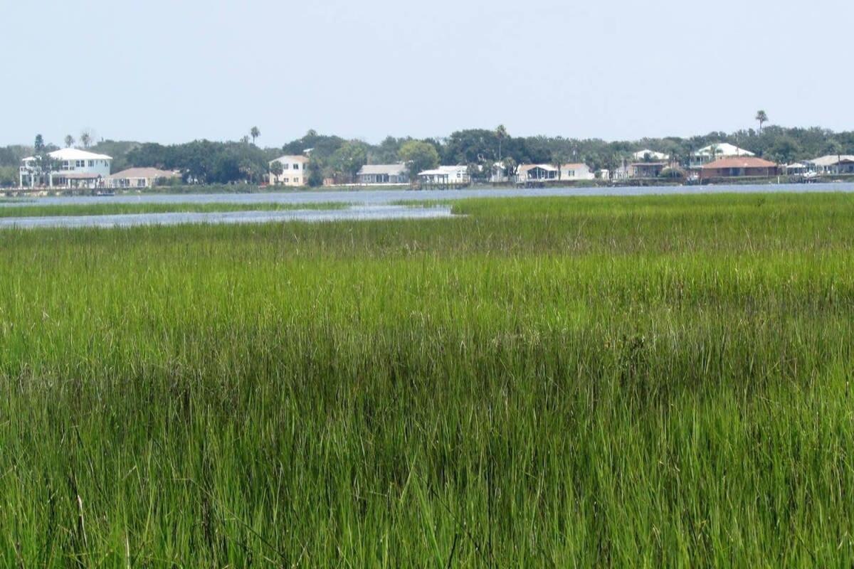 Canal Home Dock Walk To Beach Kayaks Sup Fishing St. Augustine Exterior photo